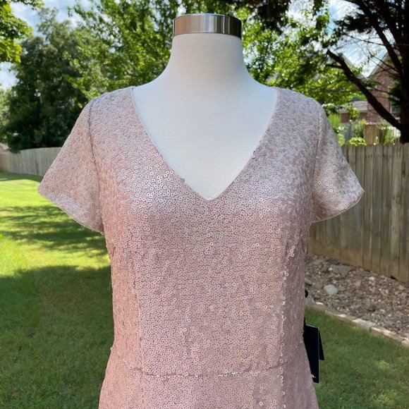 Adrianna Papell Ombre Sequin Column Gown Blush Ombre Short Sleeve V-Neck Size 10 - Picture 3 of 16